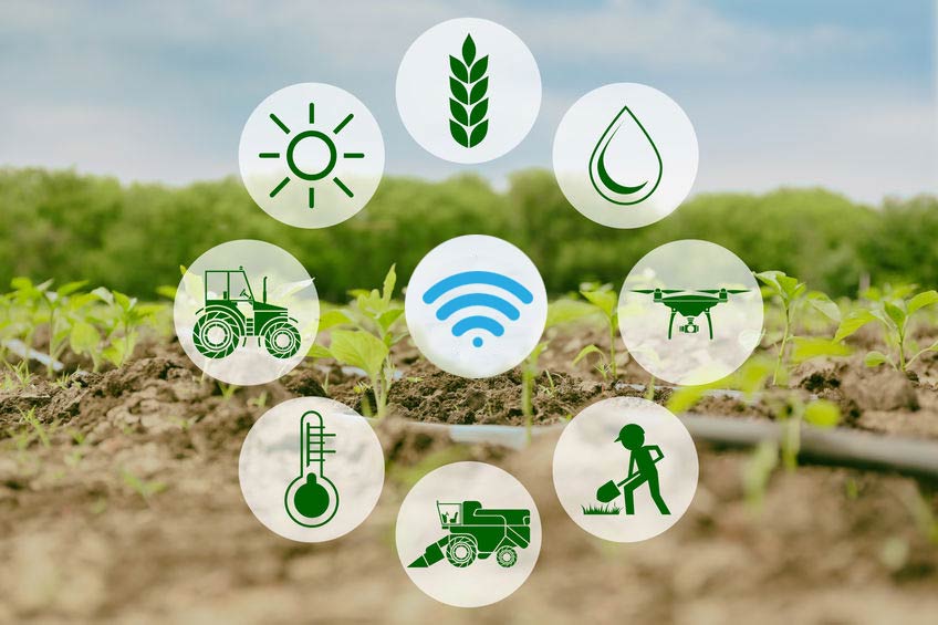 IoT Farming